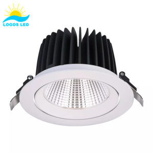 30W Adjustable Angle MIRAI LED Downlight (1)