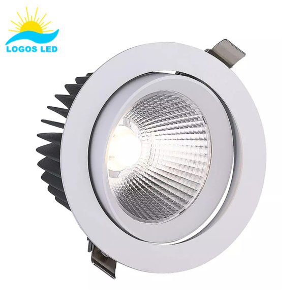 30W Adjustable Angle MIRAI LED Downlight (2)