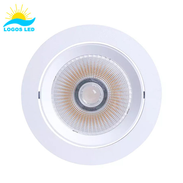 30W Adjustable Angle MIRAI LED Downlight (5)