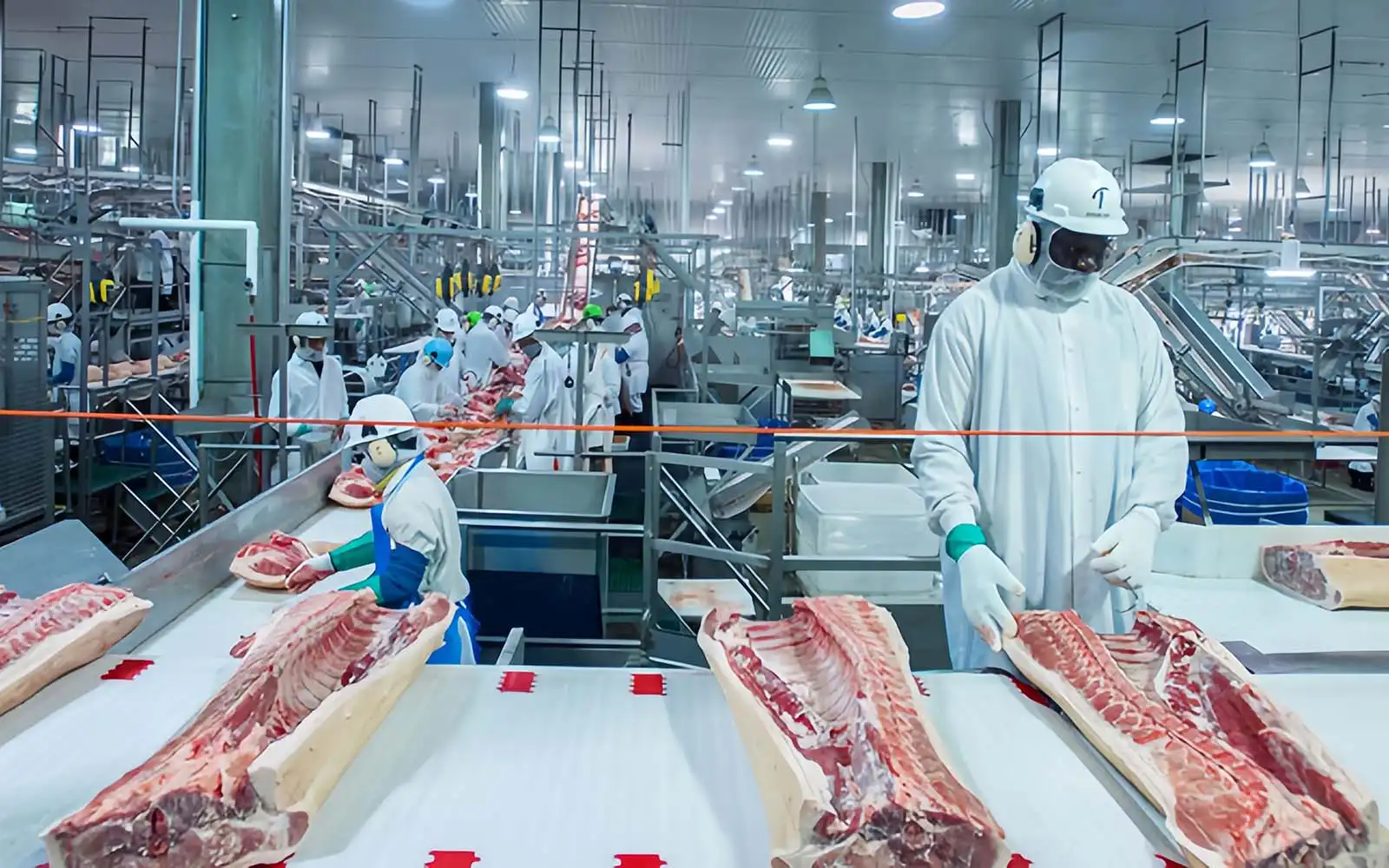 Food Factory