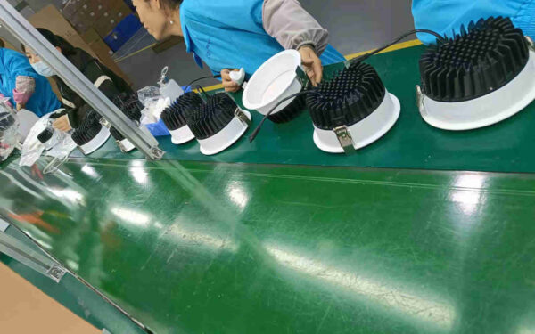 LED Down Light Assembly