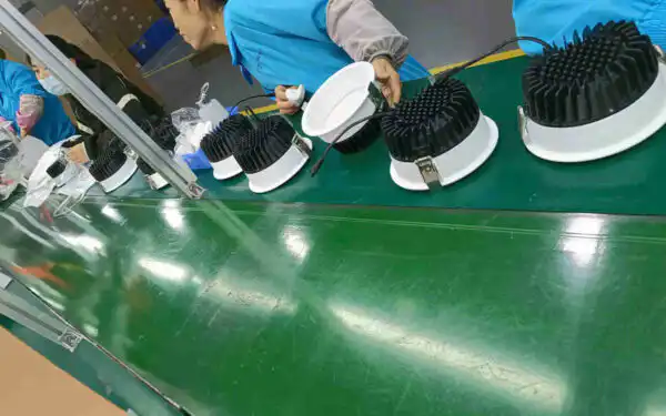 LED Down Light Assembly LED Down Light Assembly