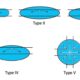 What Is Light Distribution Type I, II, III, IV & V?