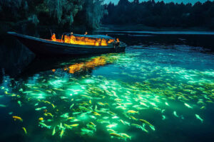 a_boat_surrounded_by_illuminated_fish