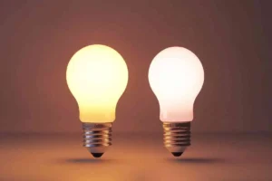 A_side-by-side_comparison_of_a_60-watt_incandescent_bulb_vs_led_bulb