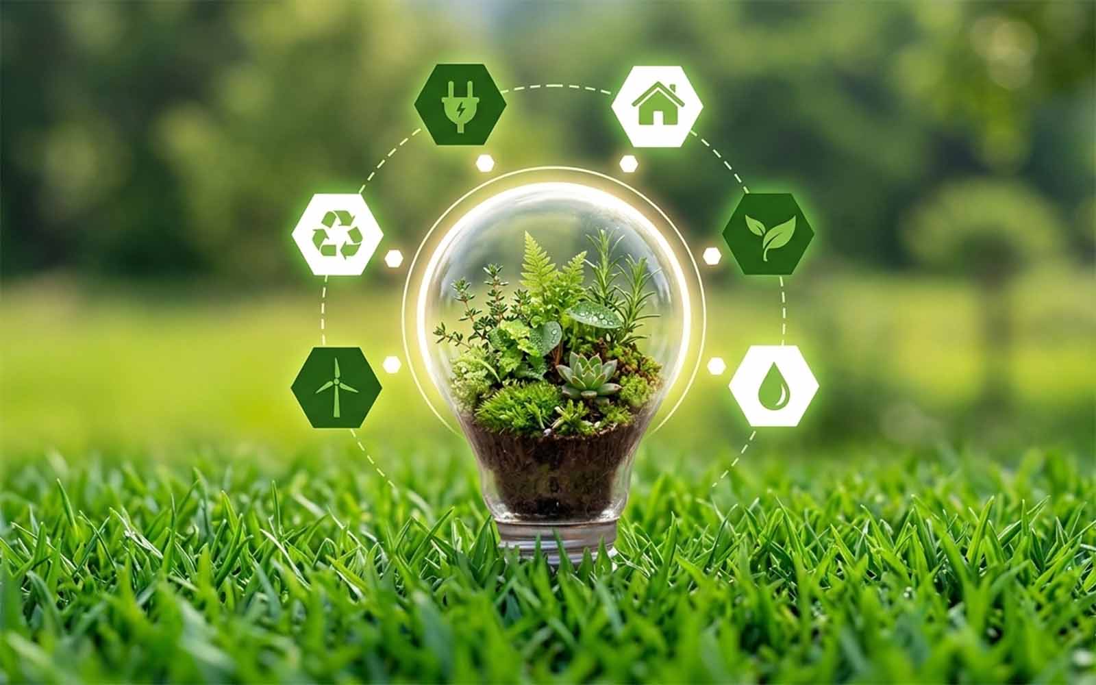 Eco-friendly & Compliant