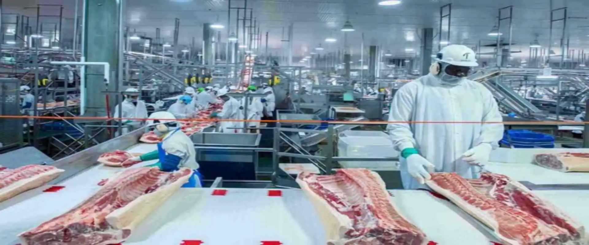 Food‑processing lighting