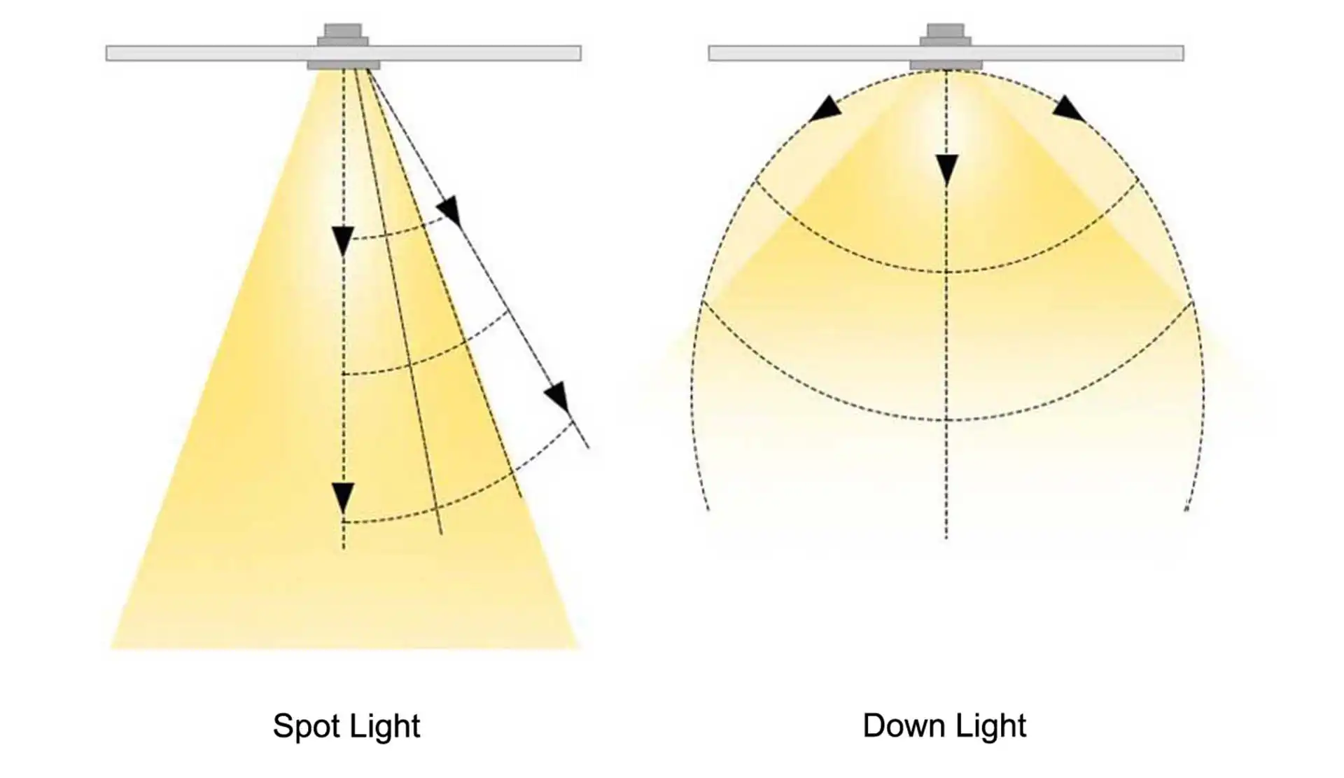 spotlight vs downlight